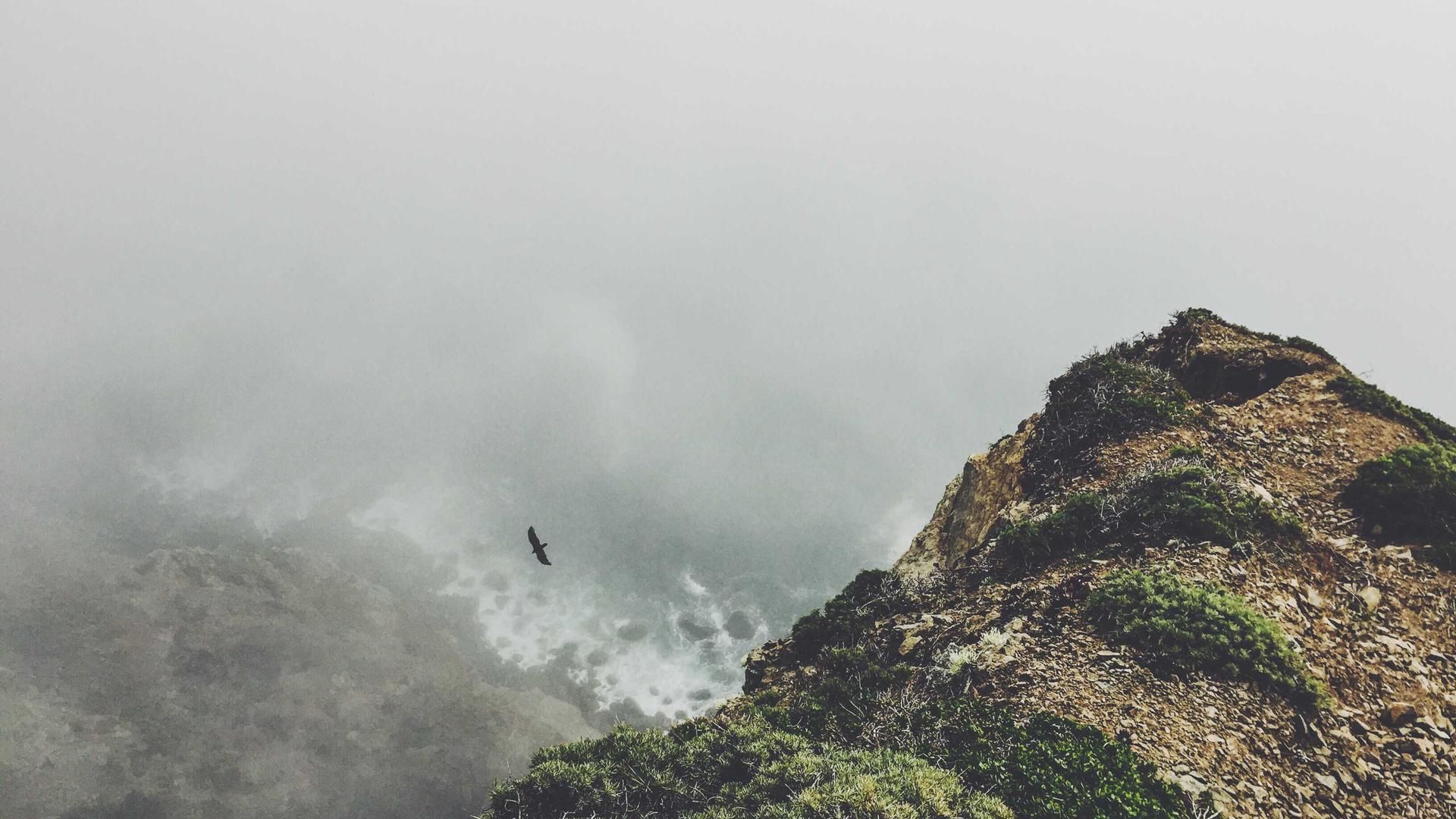 Ccwmkndjw Wipzfbwte Oqqyvglj