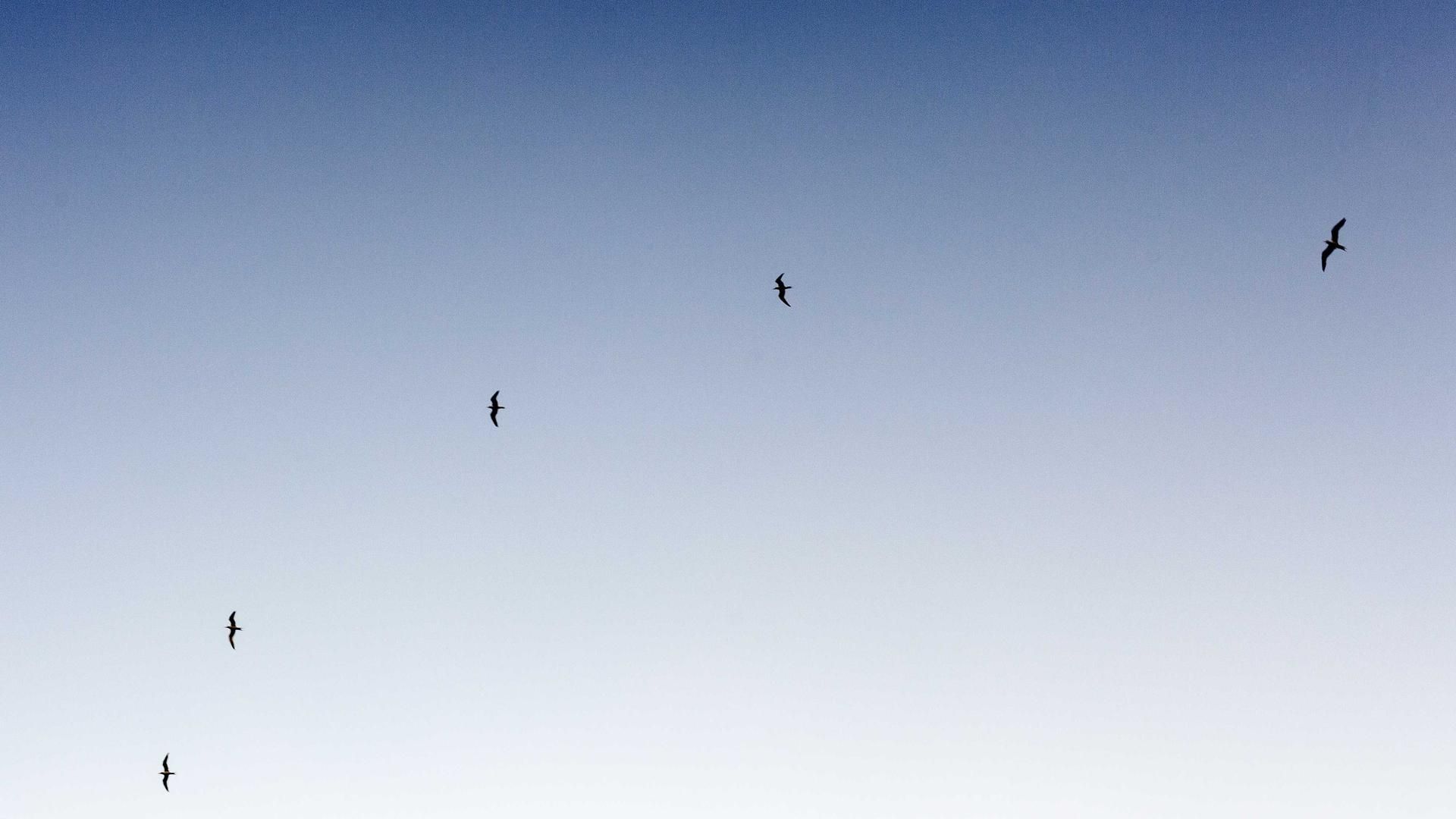 Jfueaidzyw Jmgct Mcpiuj