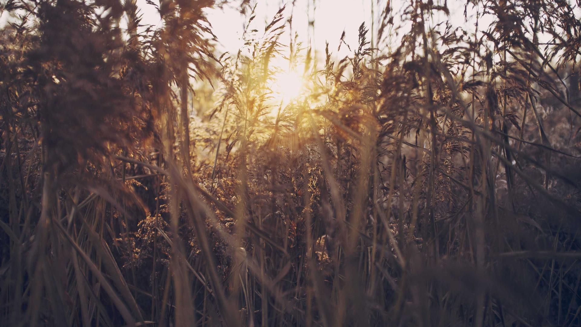 Xnxddbqo Fkmvujt Beluns Xlrkupcyp