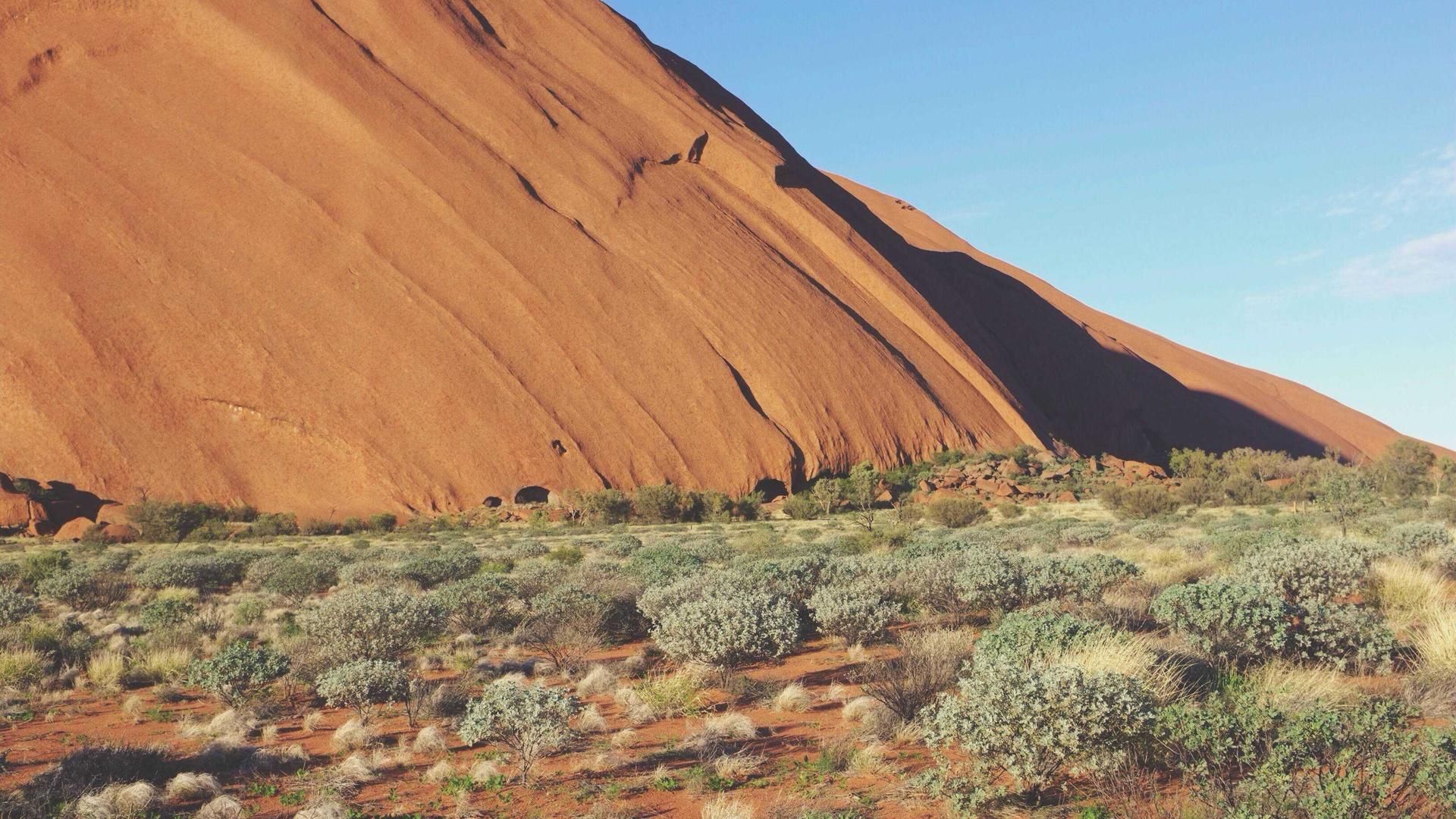 Lwwlvdvv Zopjrk Fvmbsi Nvniqjptt