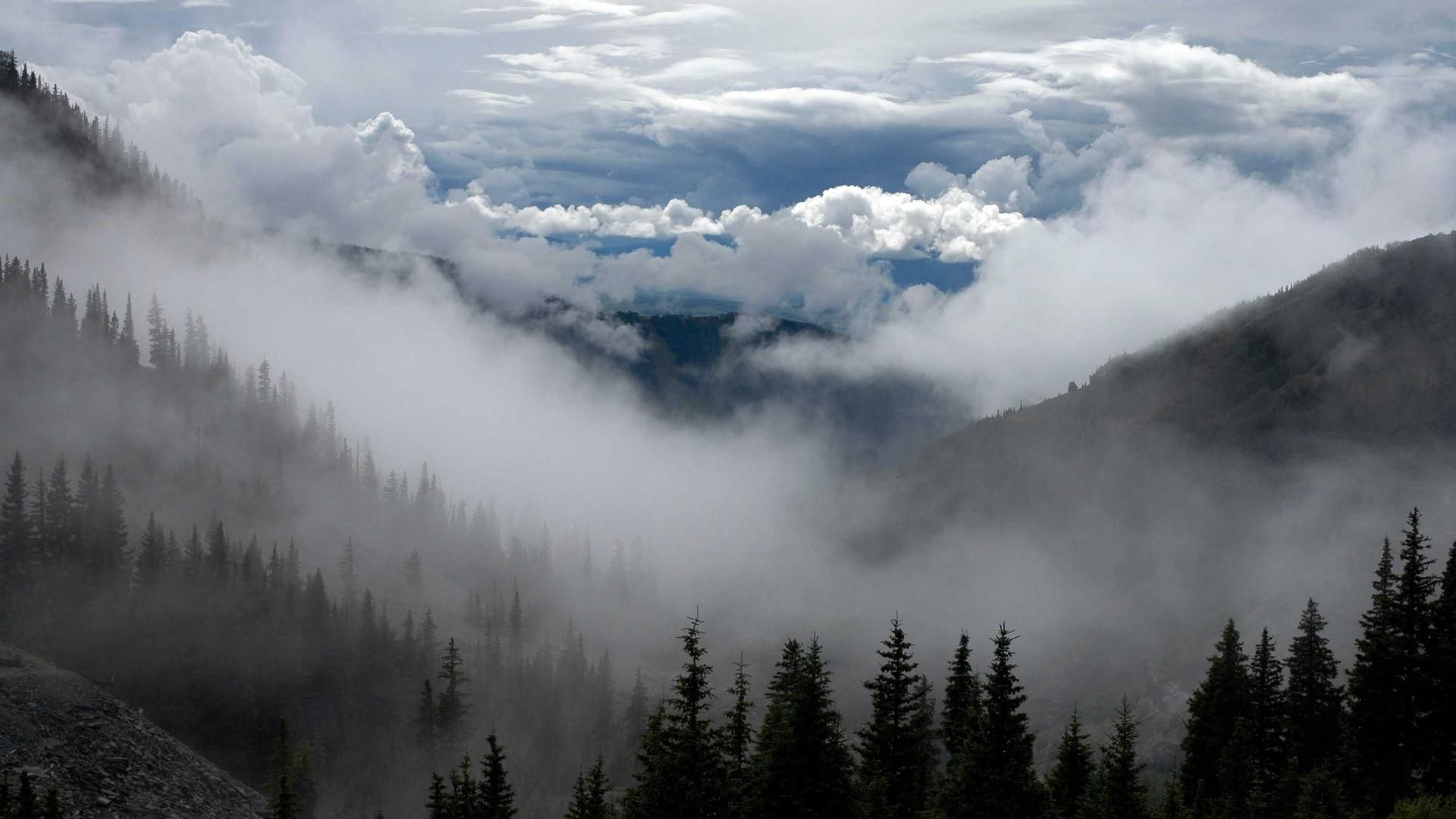 Yptaetqy Zzx Fhvnbhg