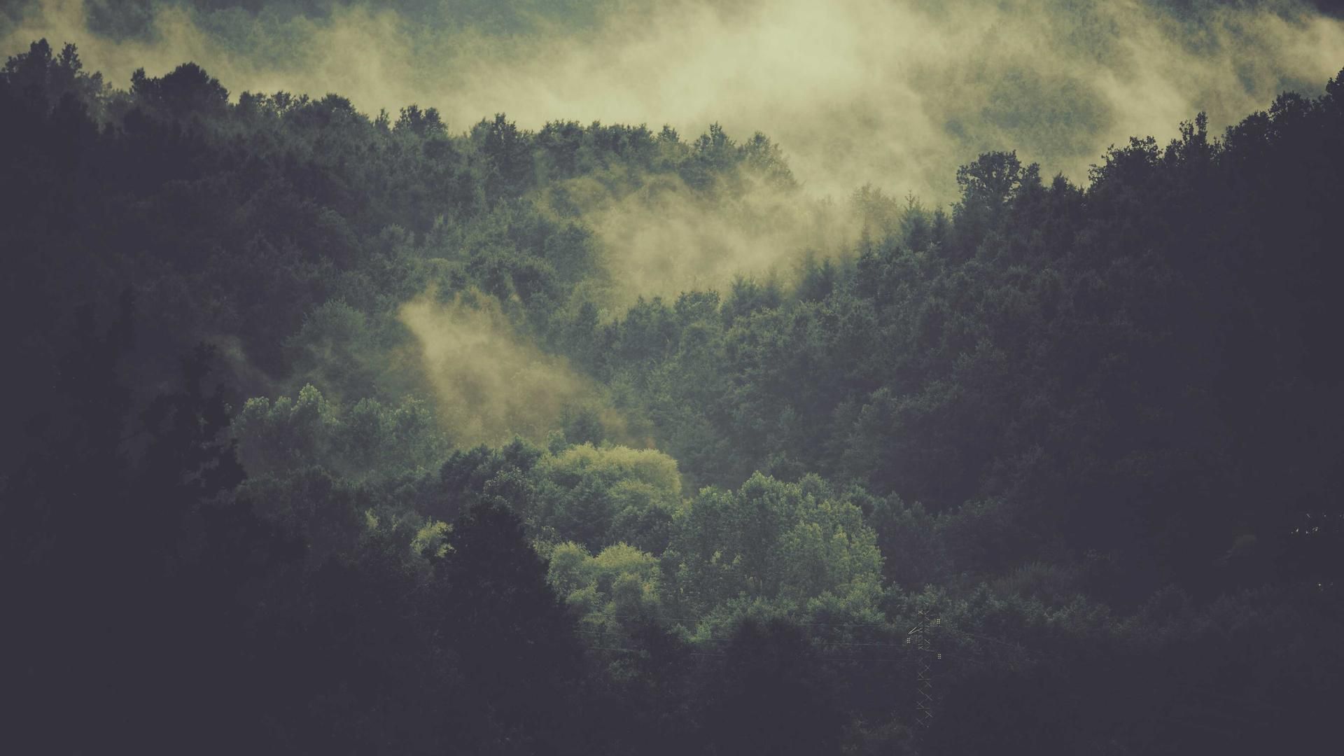 Rueogeyw Slkuybr Jzqwclgtj Oottaitg Sdccwdlkk