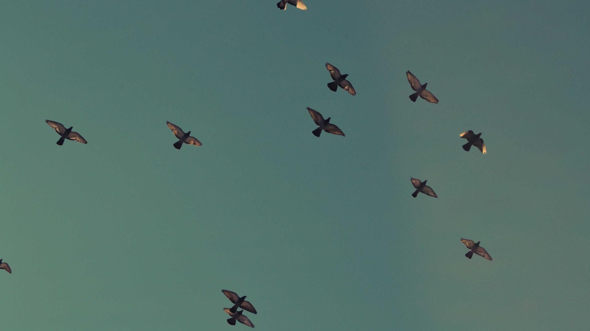 Wtomyqbf Ldvlesc Lfjvy