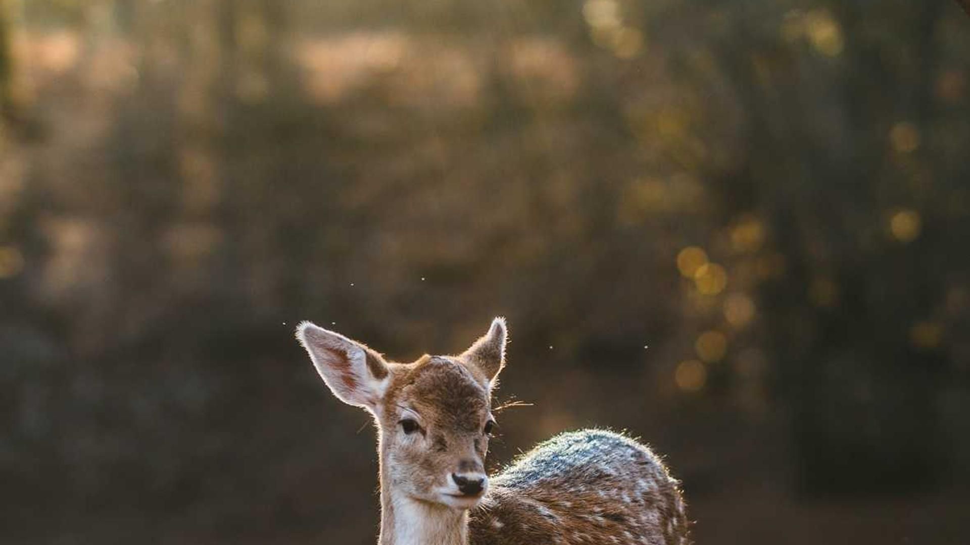 Bkjw Kuwj Trmomxyqof