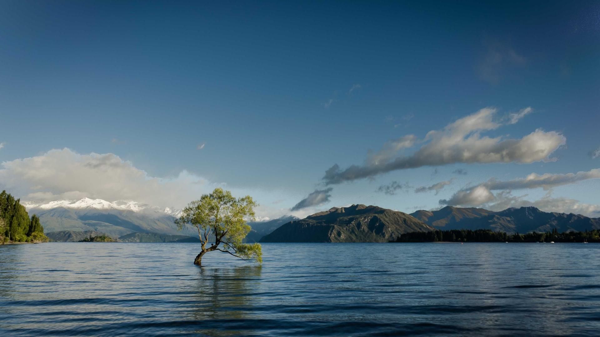 Zkvicfmpgw Reiooi Xkyec Snlrse