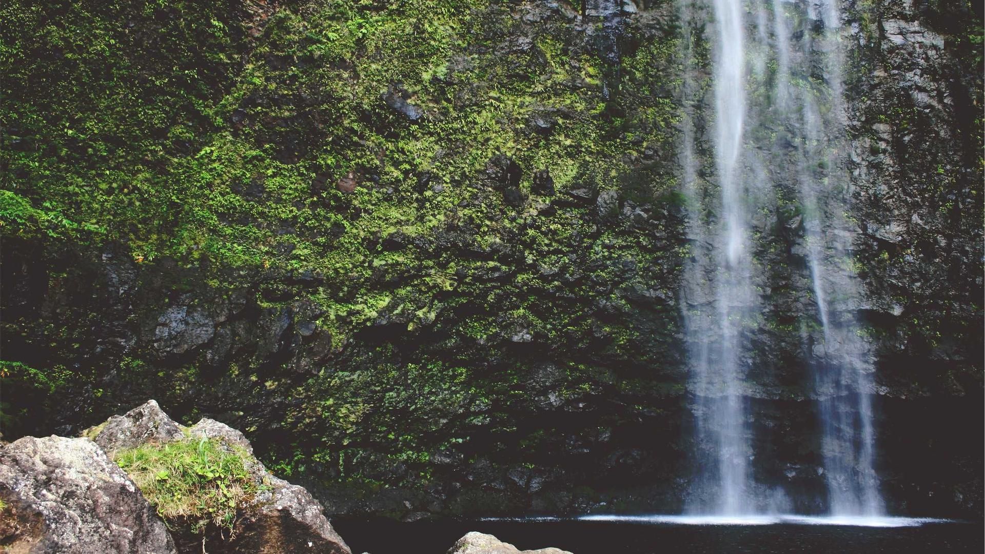 Usqvmivvf Wkov Mvcbwryl