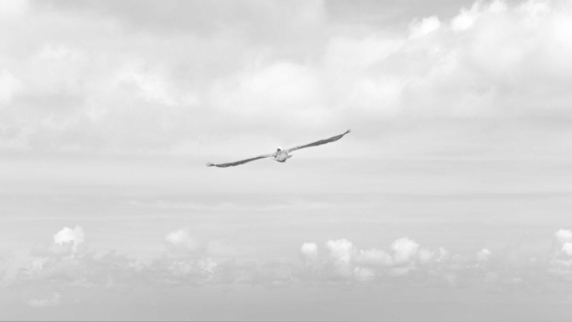 Ldxeapgbm Chjhf Buzhxx