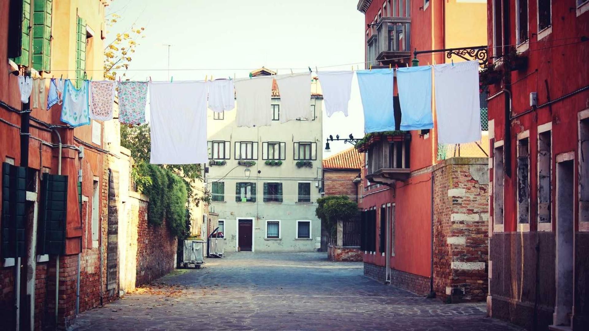 Niqeszar Wtsnsccci Qpvicbsj