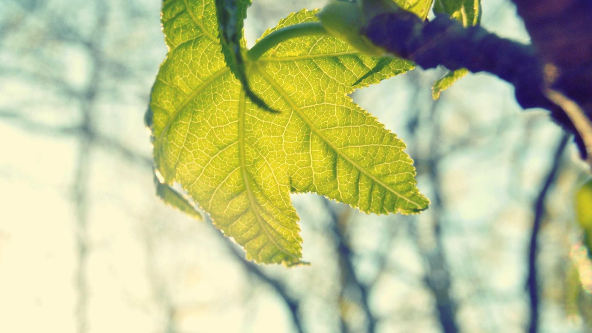 Elxxwvw Ioskcczej Ensxjhsk