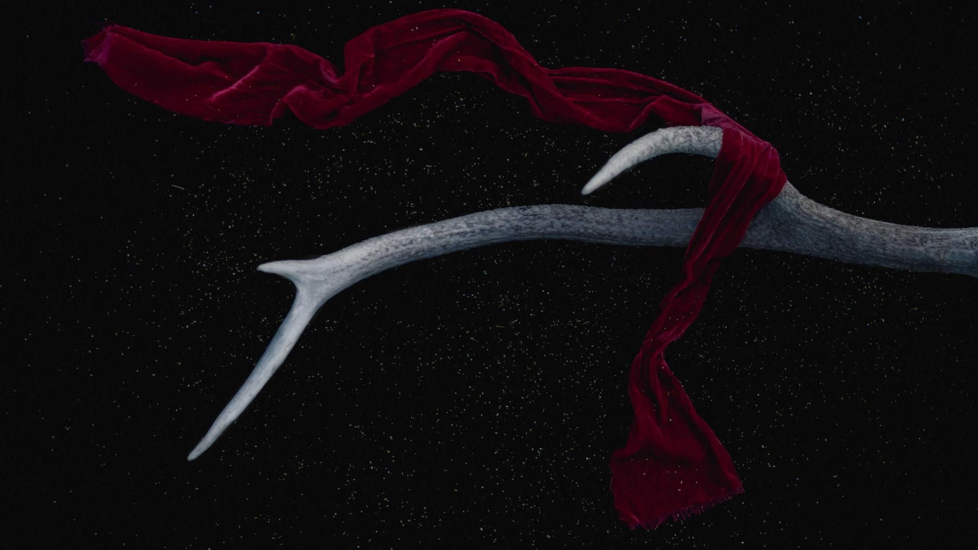 Gbol Pgplid Dledcuyl Sehqsmyjg