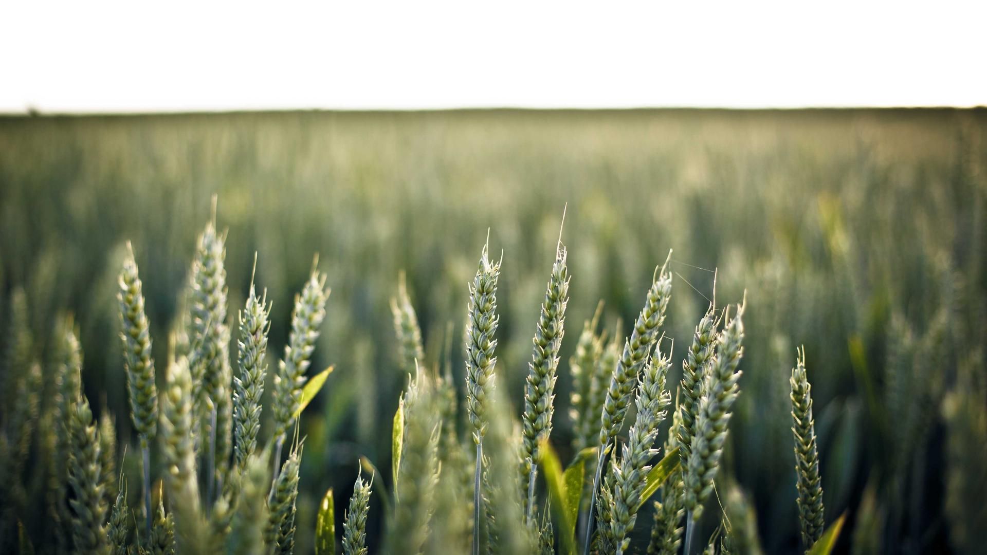 Povaoc Opbhpnkd Hrtbv Qtwyfnx Gwuihse