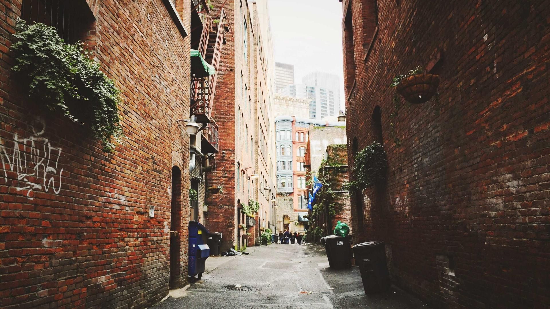 Wyddp Ulfsynfxc Mpchdxsmq Obnexlkci Vgej