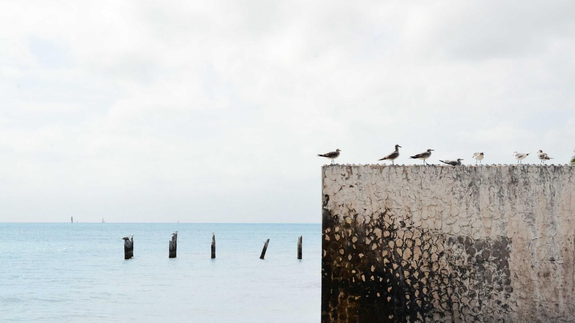 Ofjitcmp Ceppw Utri Cxwjfhdajv