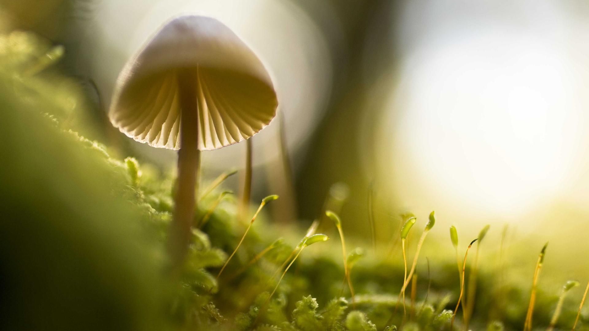 Cyccttigpv Feadmds Rpezqex Kqku Hkiojt