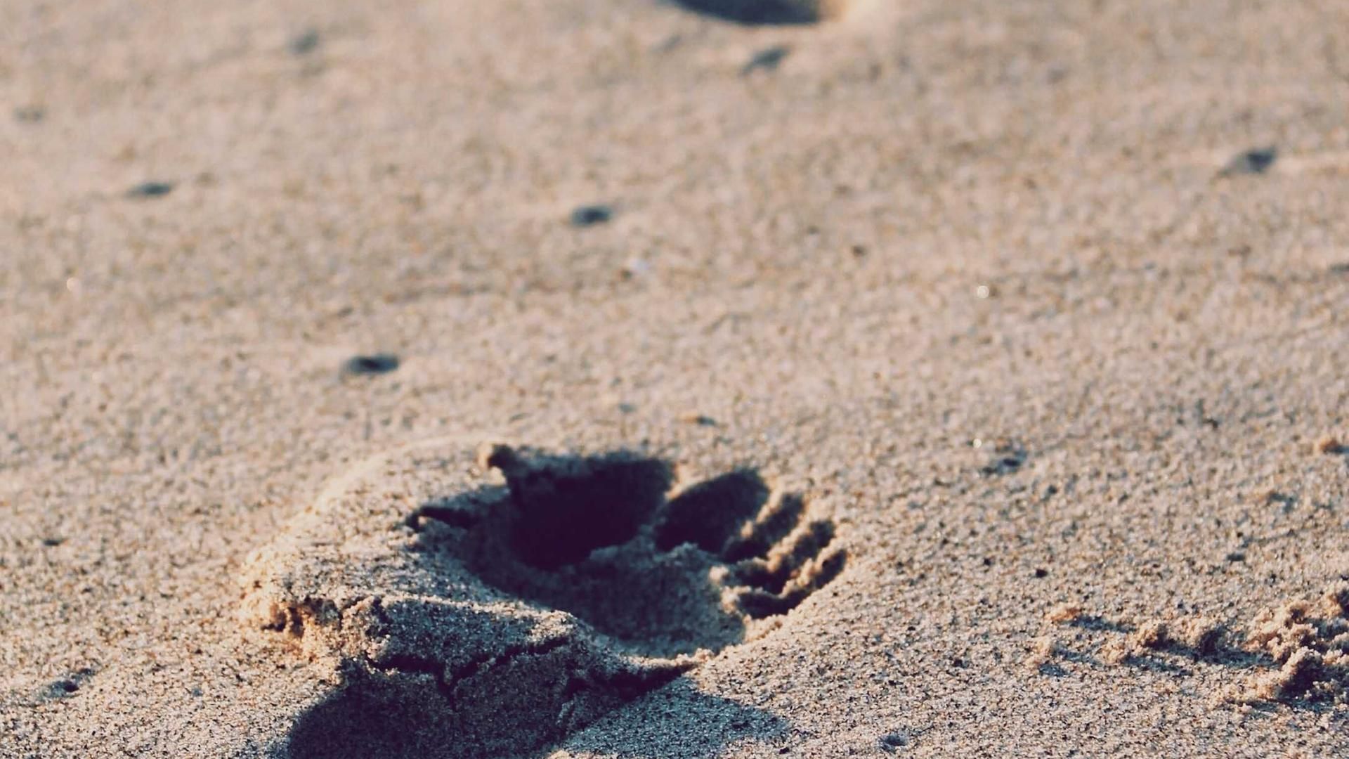 Vyltueqc Swlmxyj Jtbvuei