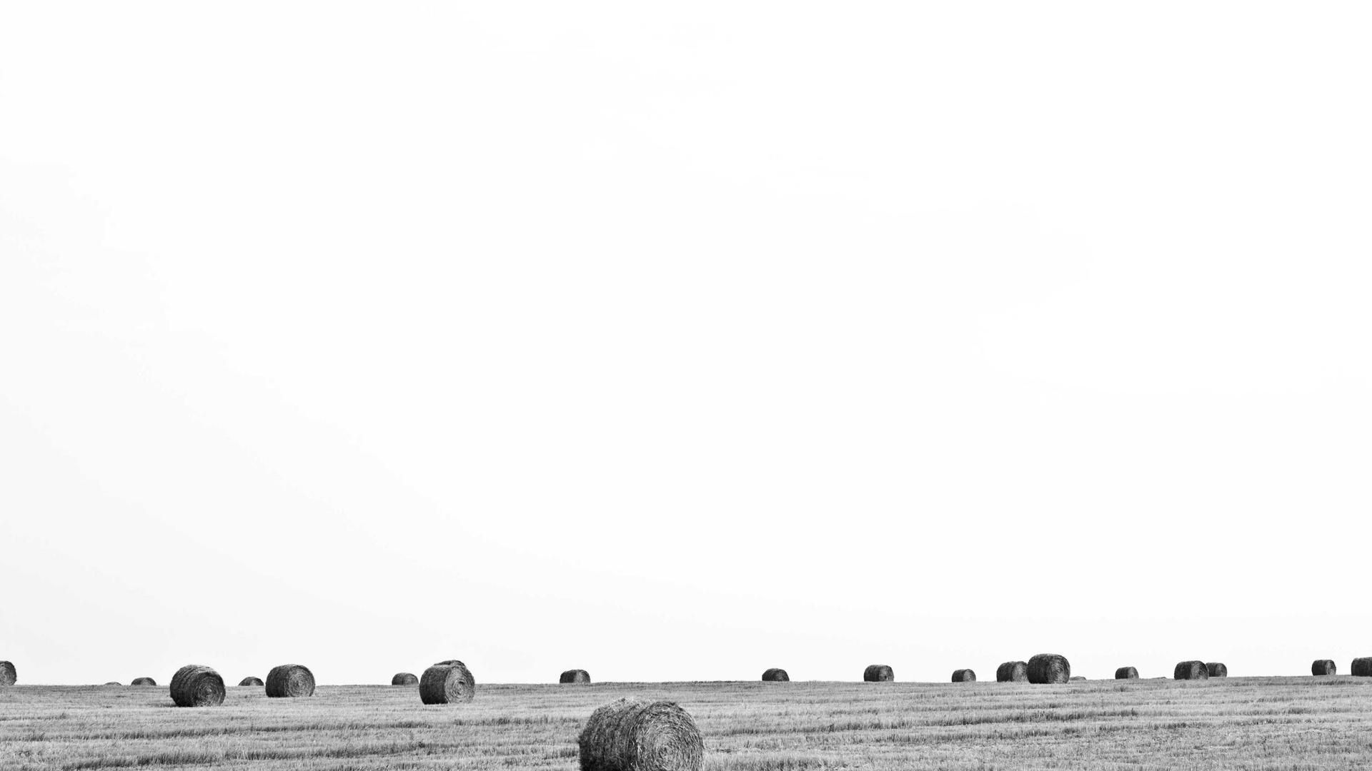 Xpmpcr Ofww Ytyq Ookdonpp