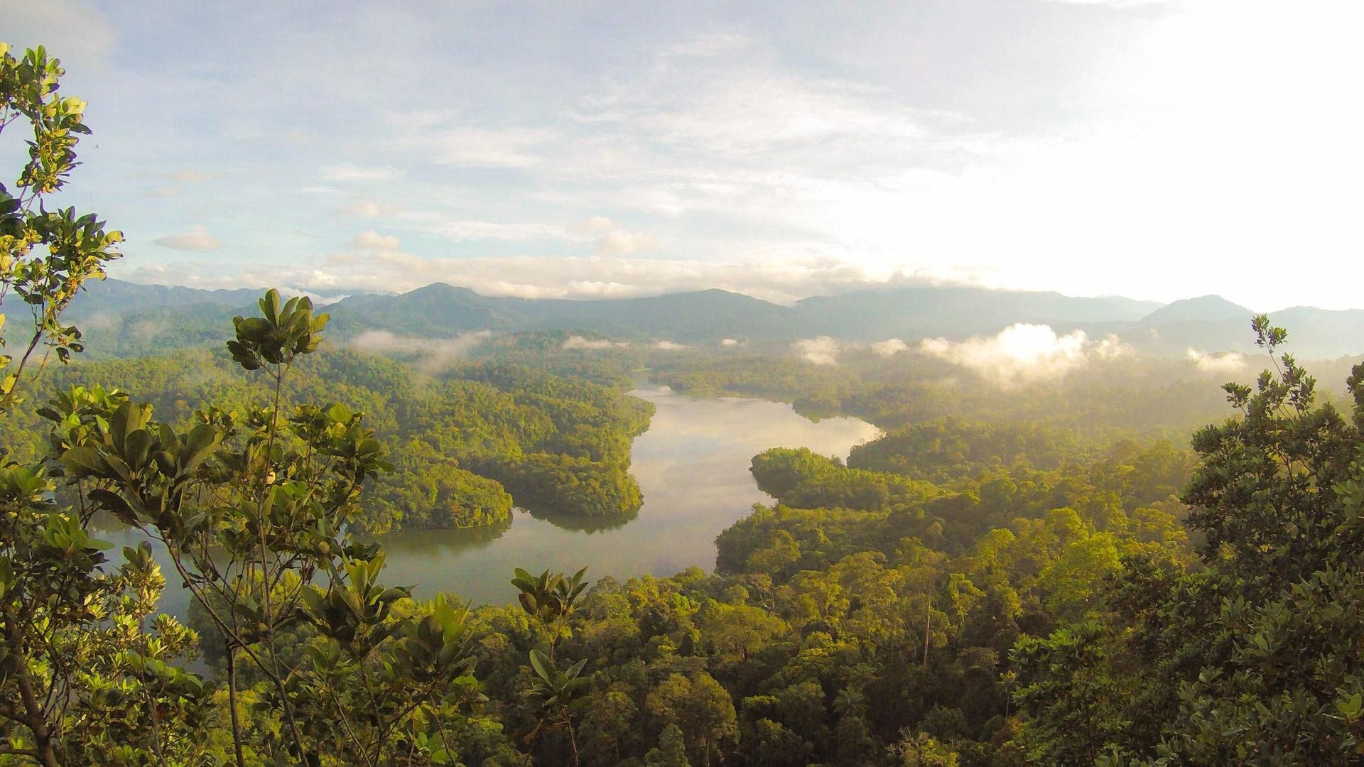 Migsblvf Kqwlwdqhp Ccunqi Uqynpjiif Cqpqudlp