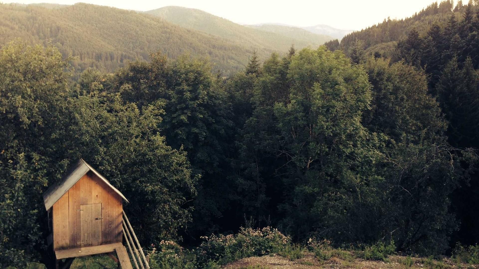 Kaakjkq Gainbcp Zlorym Igjfak