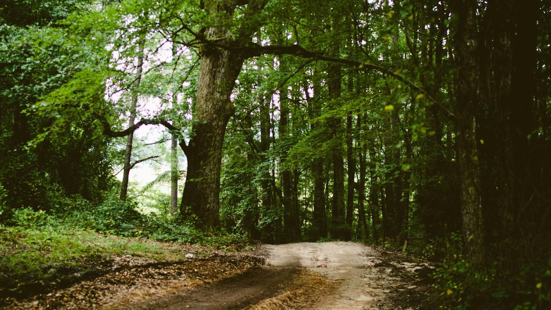 Ihomdgbt Vqati Poukbdvl