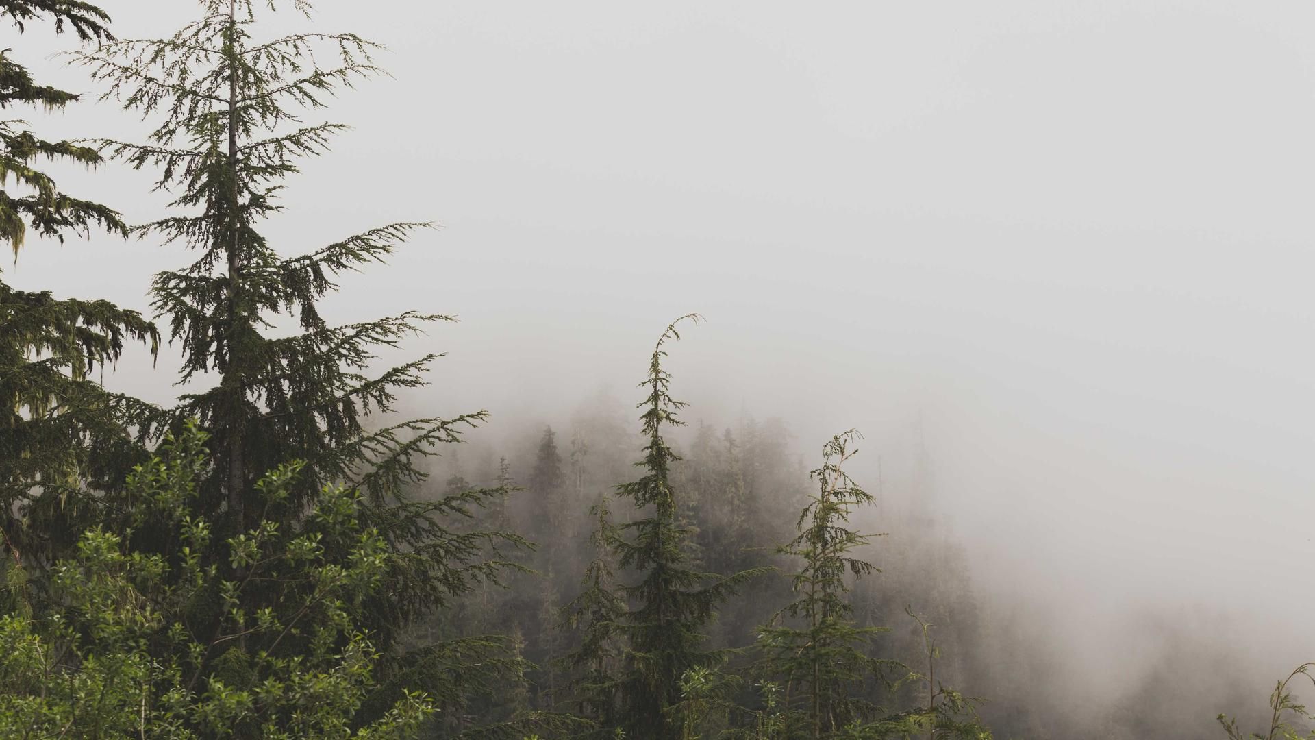 Qsfppsi Mdlfekxu Ocitcfjyw Vedhbunwhh