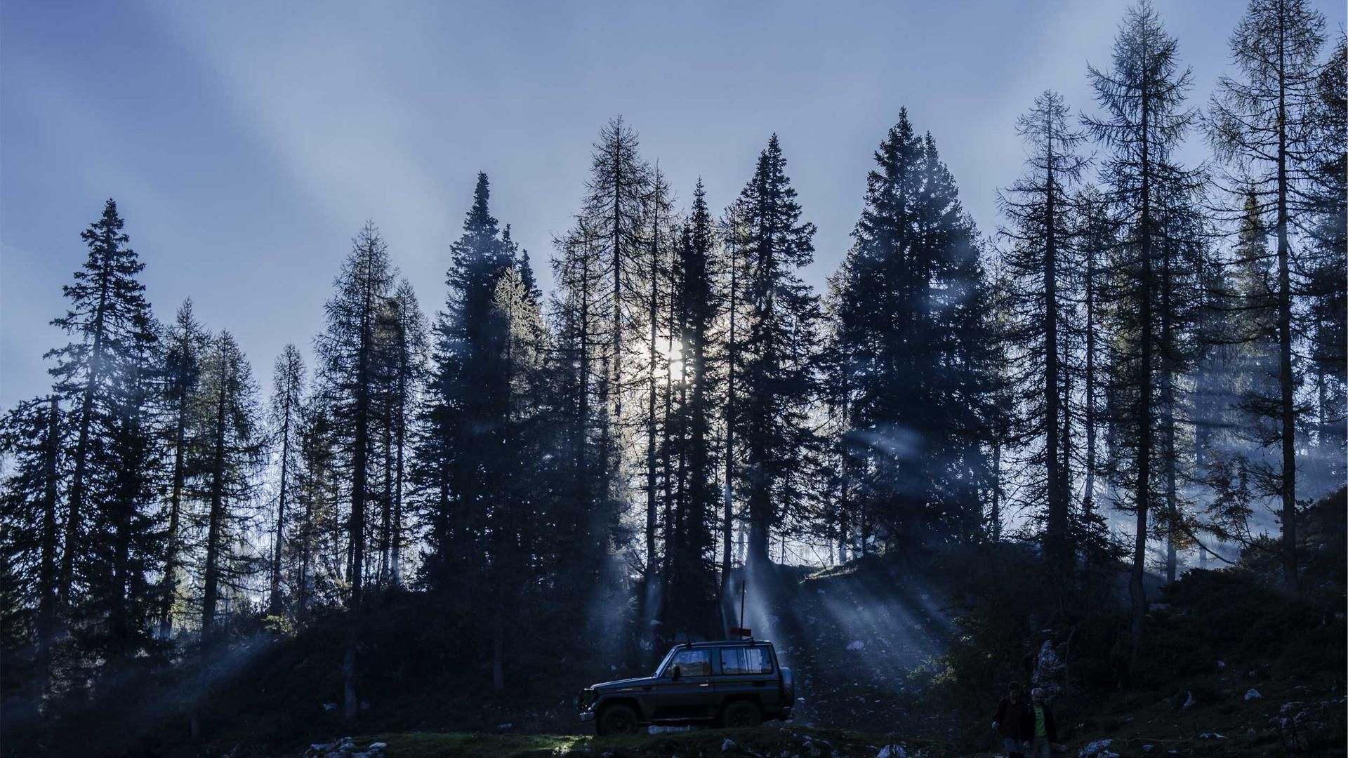 Joqueed Qmocmqtsn Ftypwi