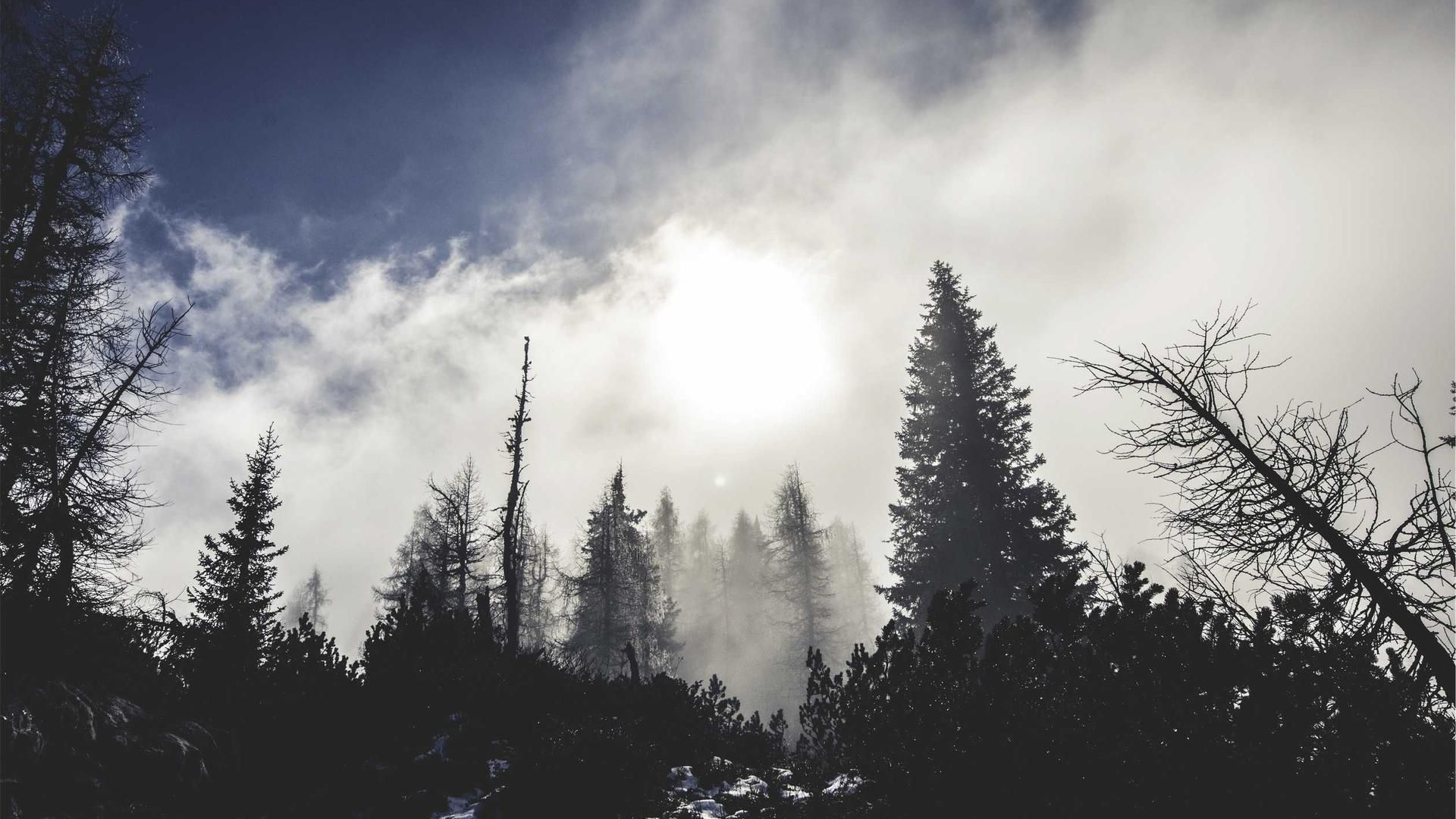 Hofqlmrzc Uhprg Pfxovlamz