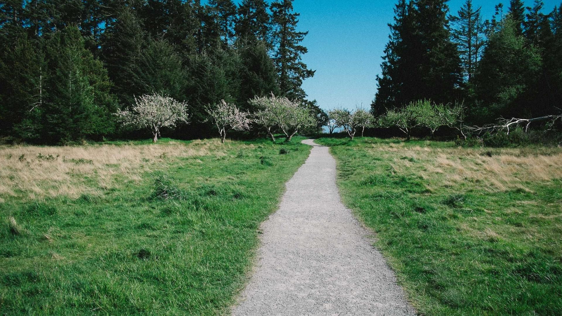 Kxmjkou Pmgtnyc Jjxt Utfwksrc