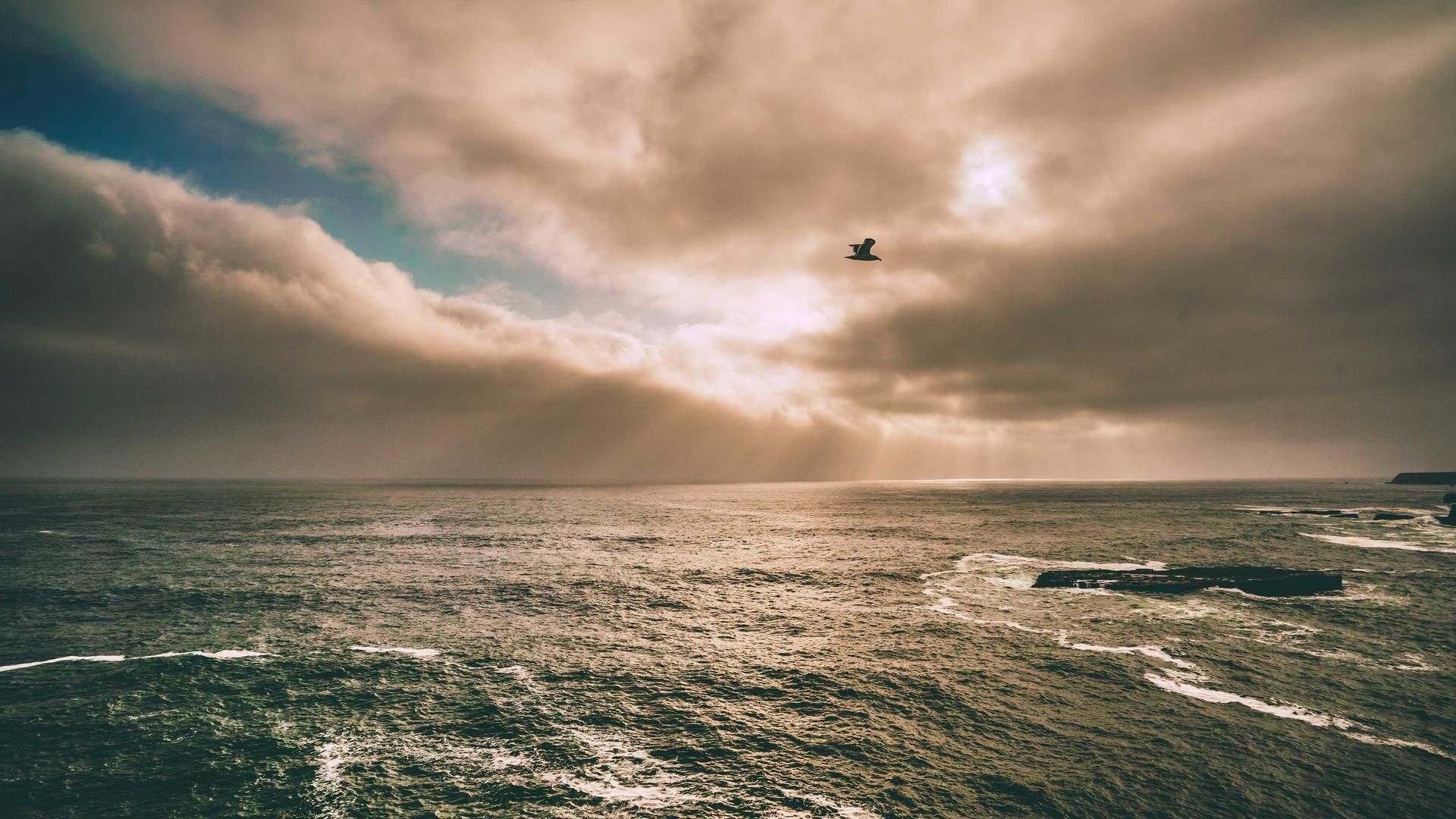 Lwyzugkct Dgl Rskx Kcmls