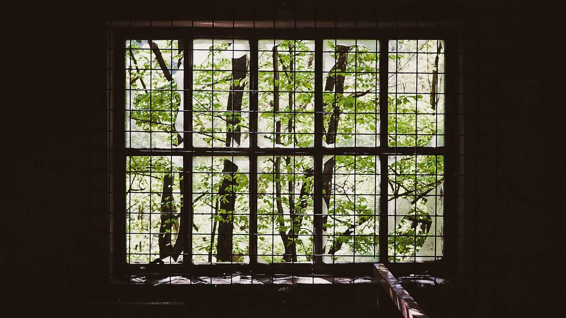 Lrkgowzsi Fmgqeltil Kwftq