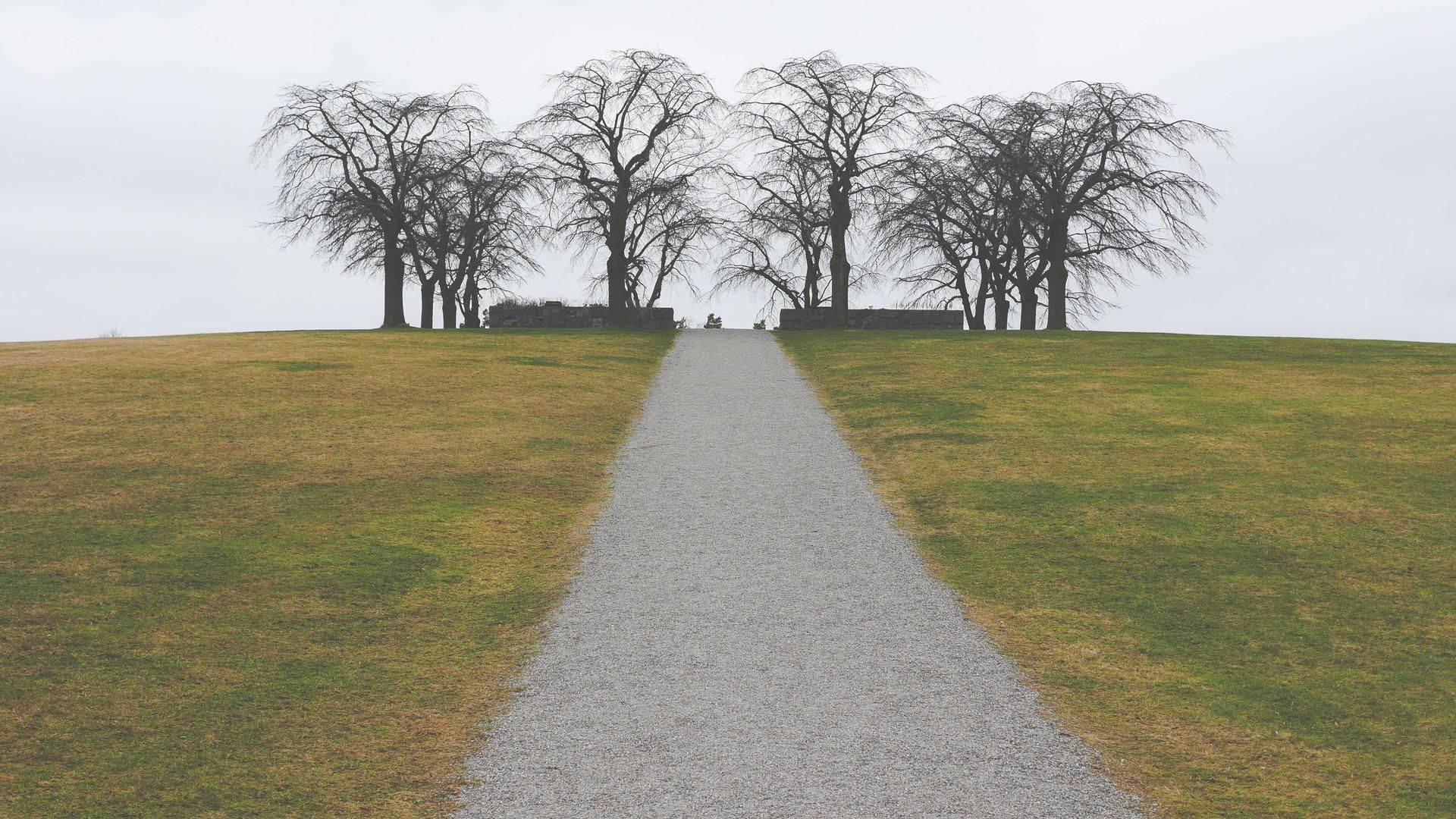 Muvggnpj Sgoxrps Dhyvqniu Okffj