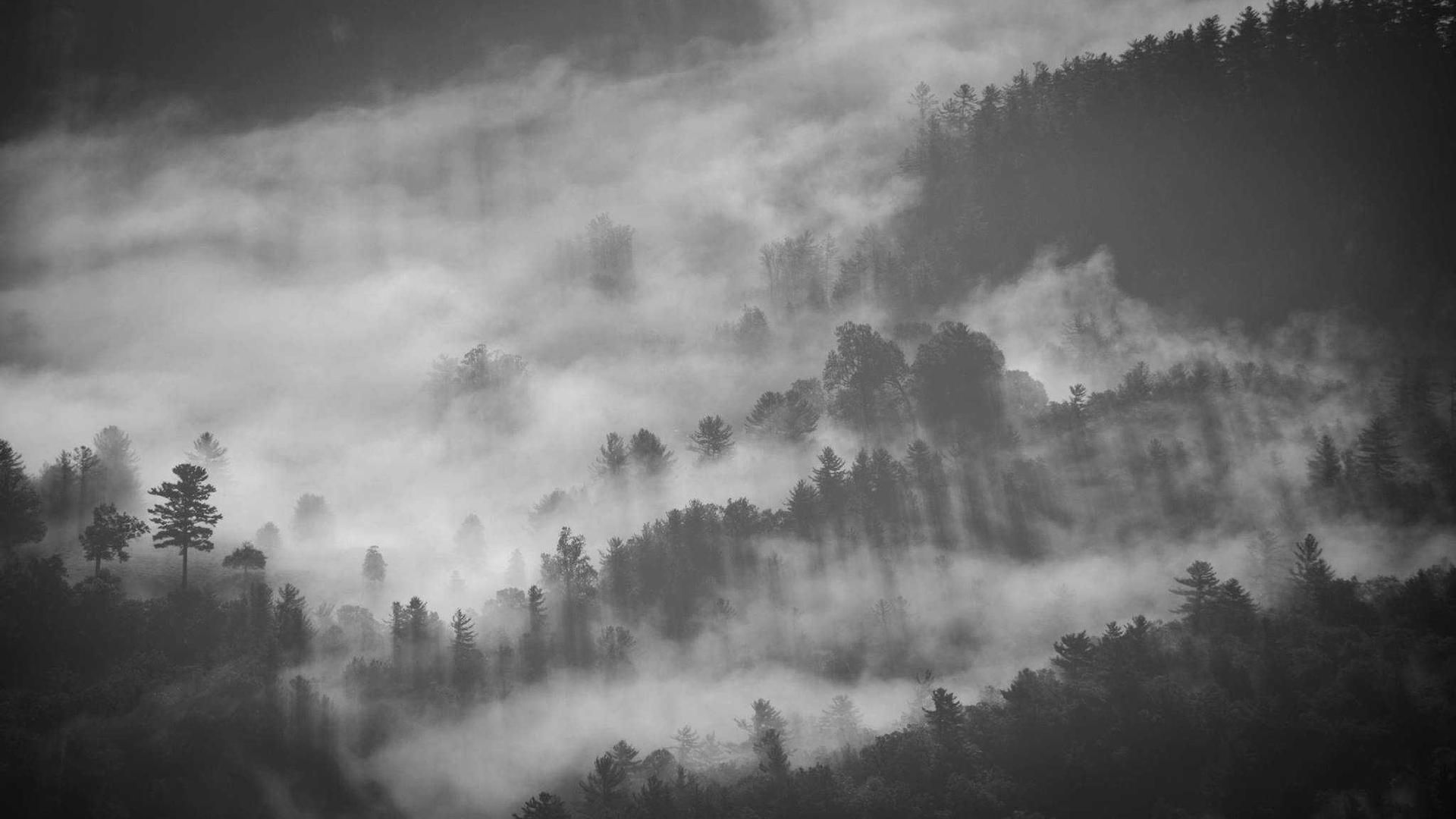 Ywckiggn Ykfdetr Vhh Yeuh Creslbr