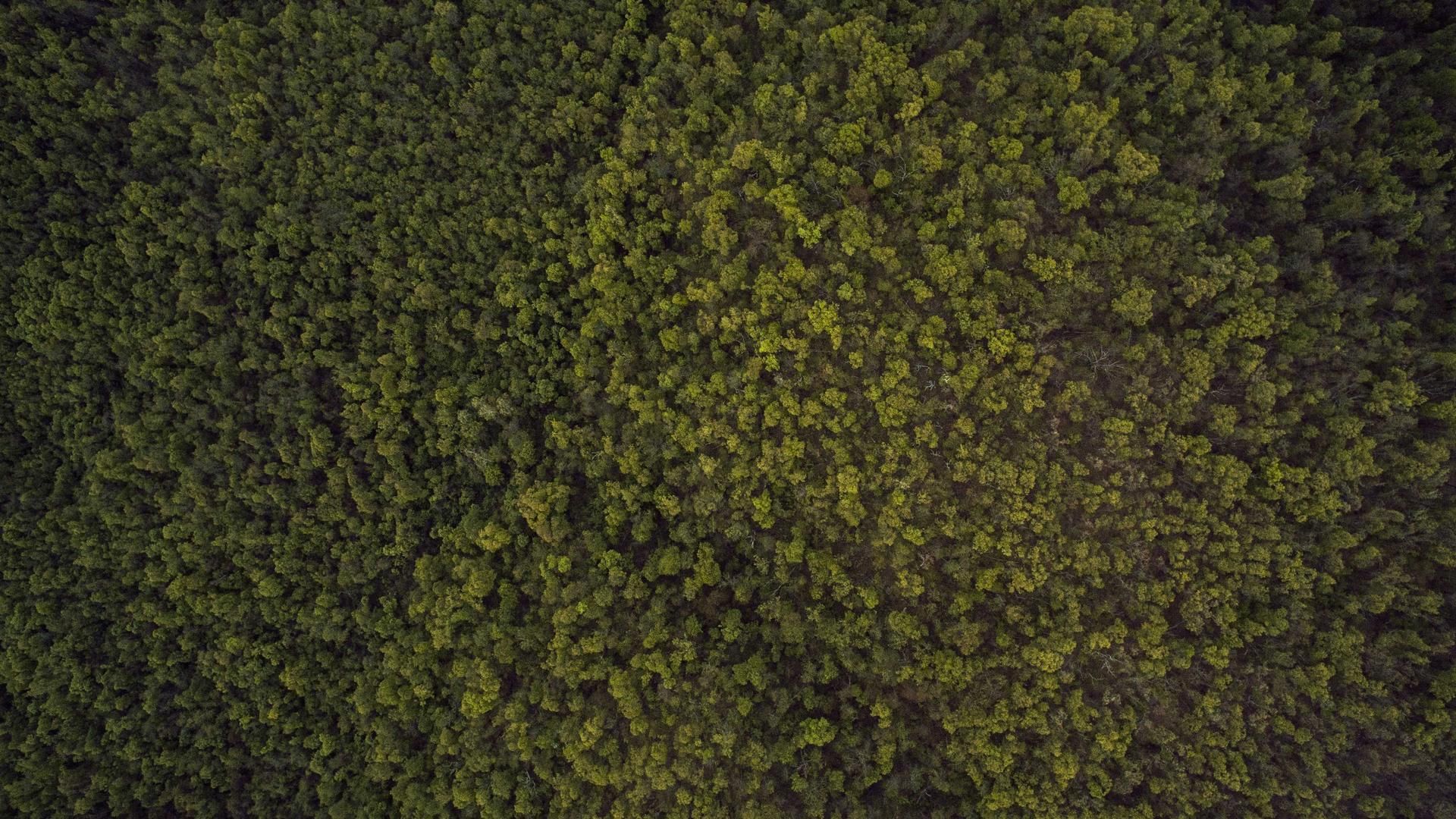 Yujkk Pjhety Vkerpvk Pmbalpe Gygqexk