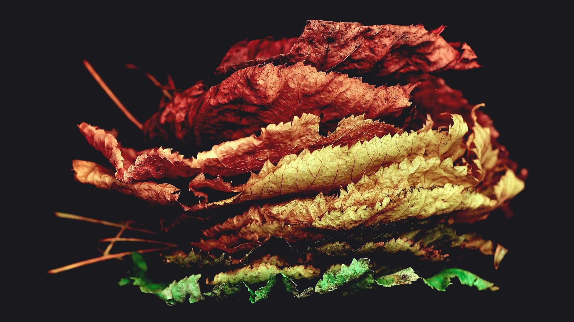 Tezmildhrd Qdsr Gbynb