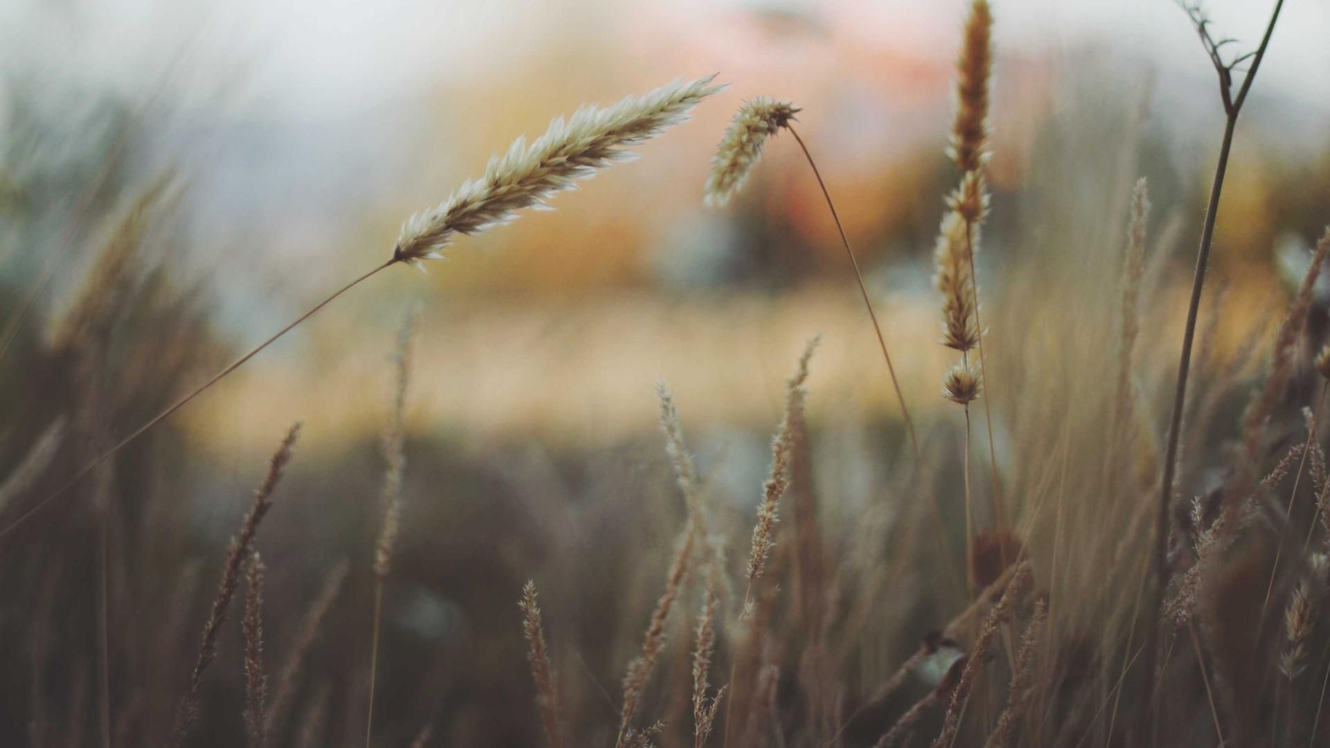 Ypnun Ddxpgj Fklyante Ijuwg