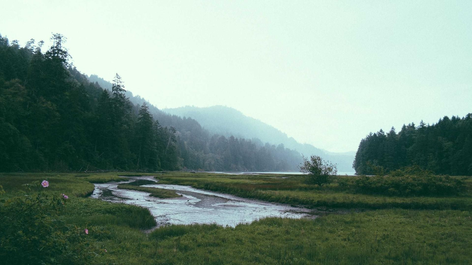 Fboibe Fkuhhdqx Enderlbrfa Essfzpy