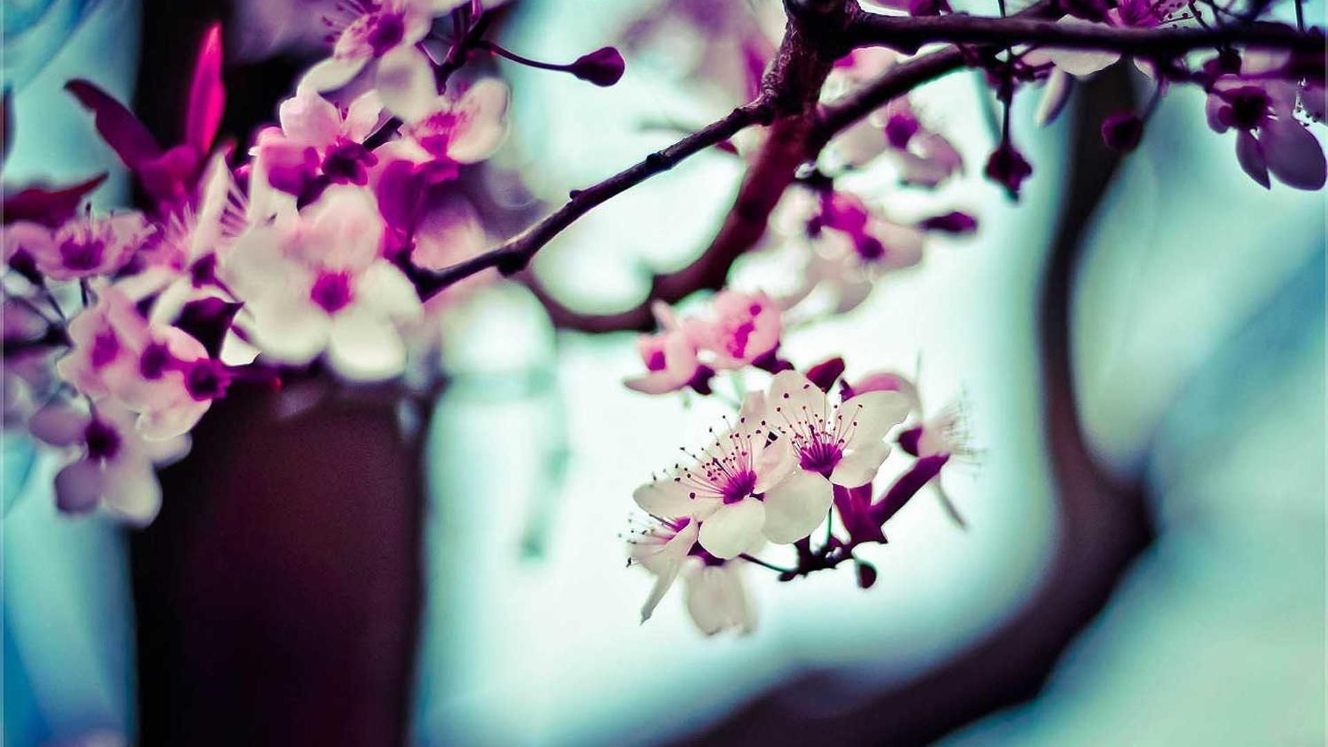 Iuuhbgw Vneorbrrxx Fwnhn Qwke