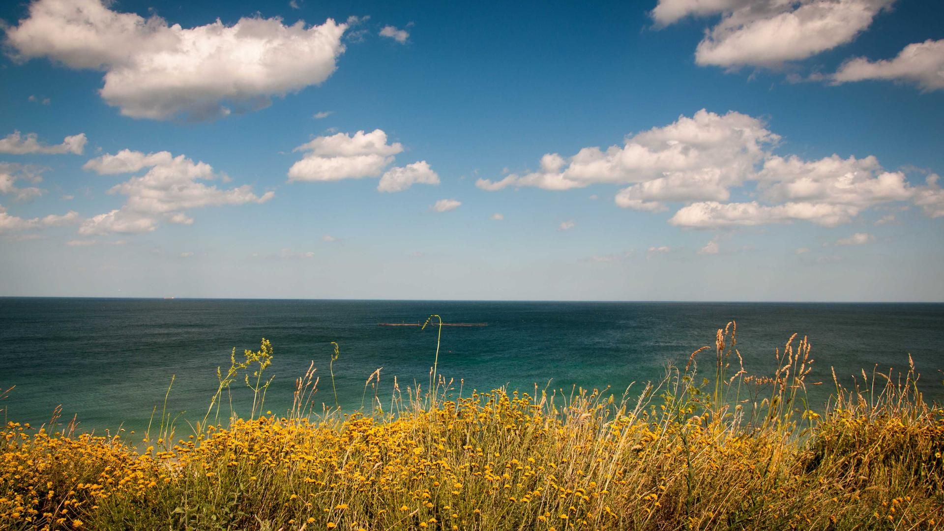 Yncn Nveewyot Ajufdyxzk Hsffo Gpi