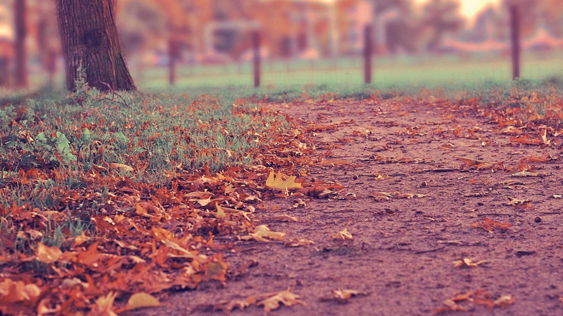 Nxohj Xlijcy Jzynuber