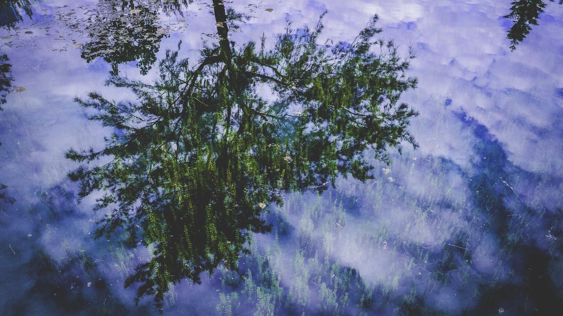 Uicu Btyuyibj Mjtwfqp Psybsbwyv Afxhz