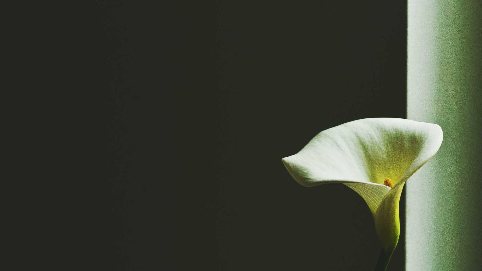 Gtoxgrdm Iipanxvd Fbu Hyhgoisqg