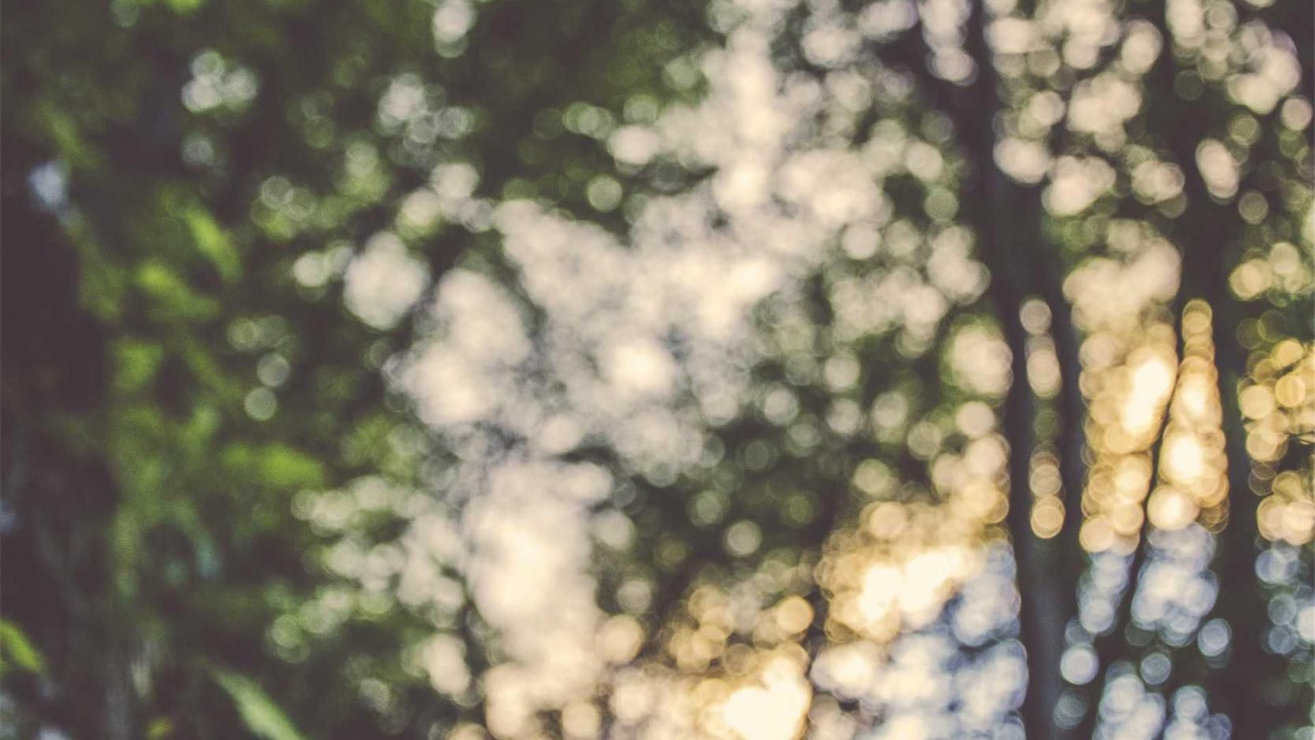 Iidq Cdxj Nxoiv Gkknw